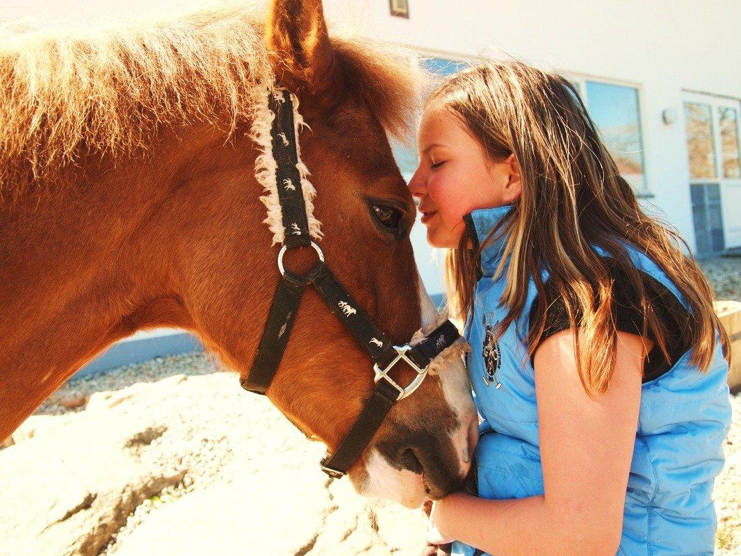 Tysk Sportspony Sultan(Sulle) <3 - 
Taget af Nanna Christiansen <3 billede 6