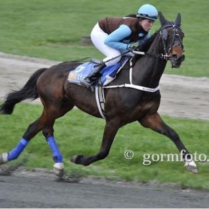 Traver Mccoy V K billede 9