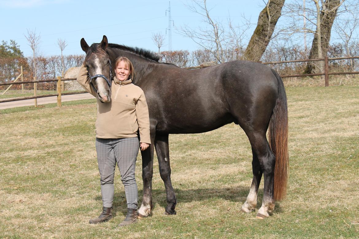 Anden særlig race Stendalsgaards d'luxe [Himmelhest] - D'luxe og jeg 21.04.2013 billede 11