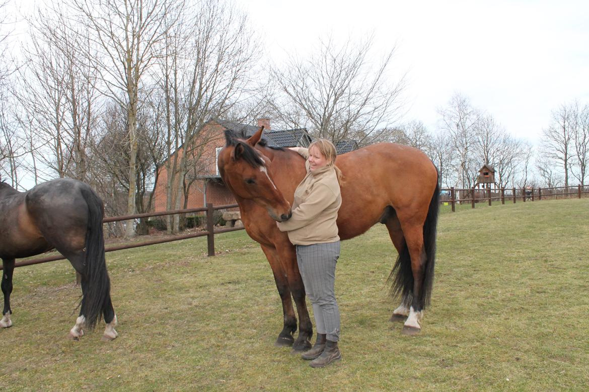 Dansk Varmblod Salter tranebo - Salter & jeg ;-) 21.04.2013 billede 4