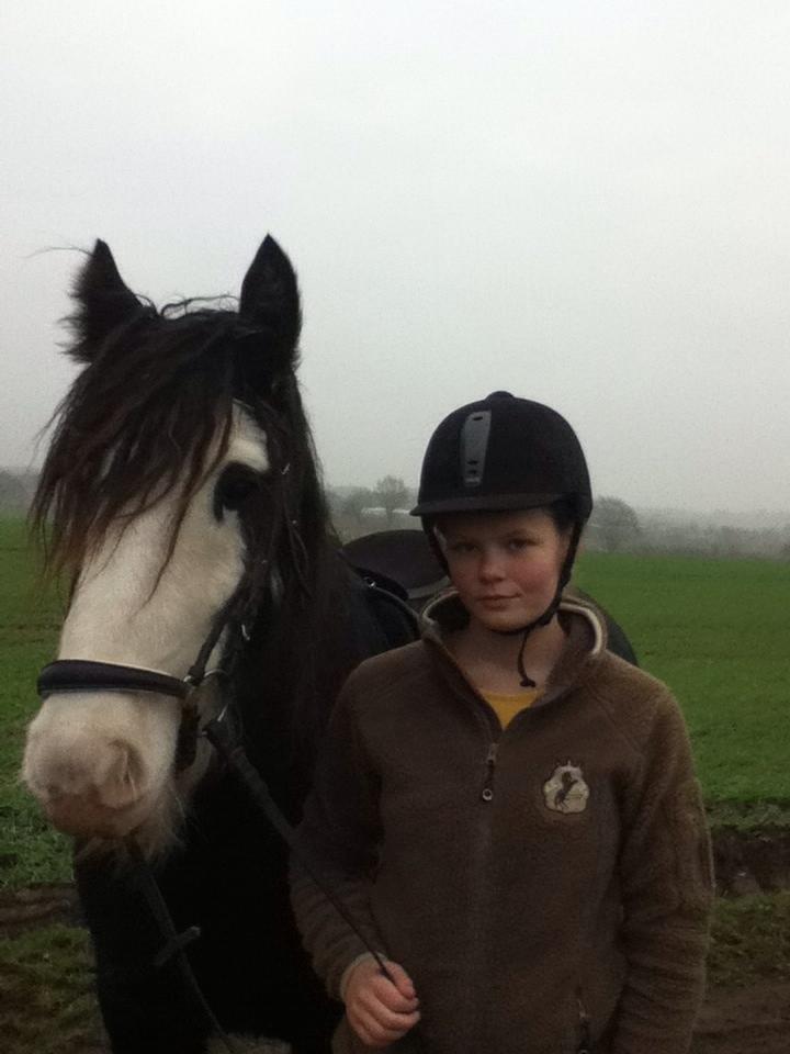 Irish Cob Næbbets Baldrian billede 2