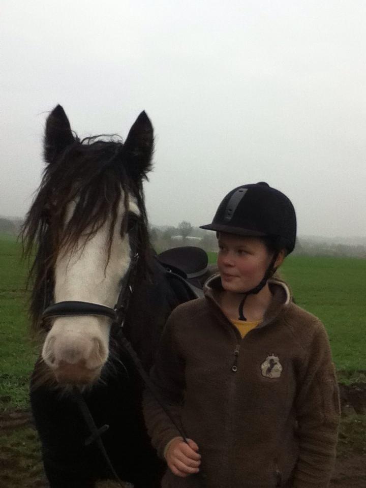 Irish Cob Næbbets Baldrian - Velkommen til Baldrians profil!:D billede 1