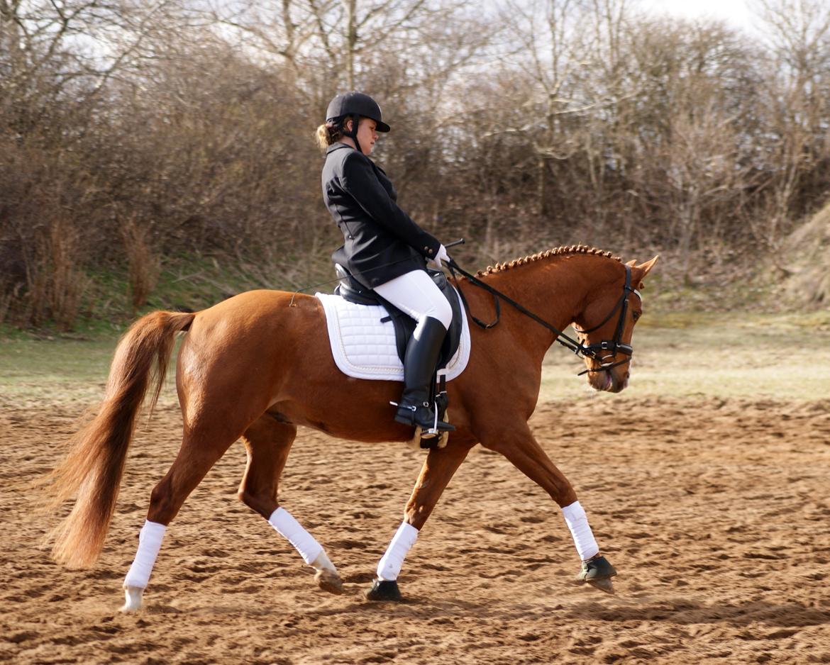 DSP Palle Prut - Vores første stævne maj 2013 billede 2