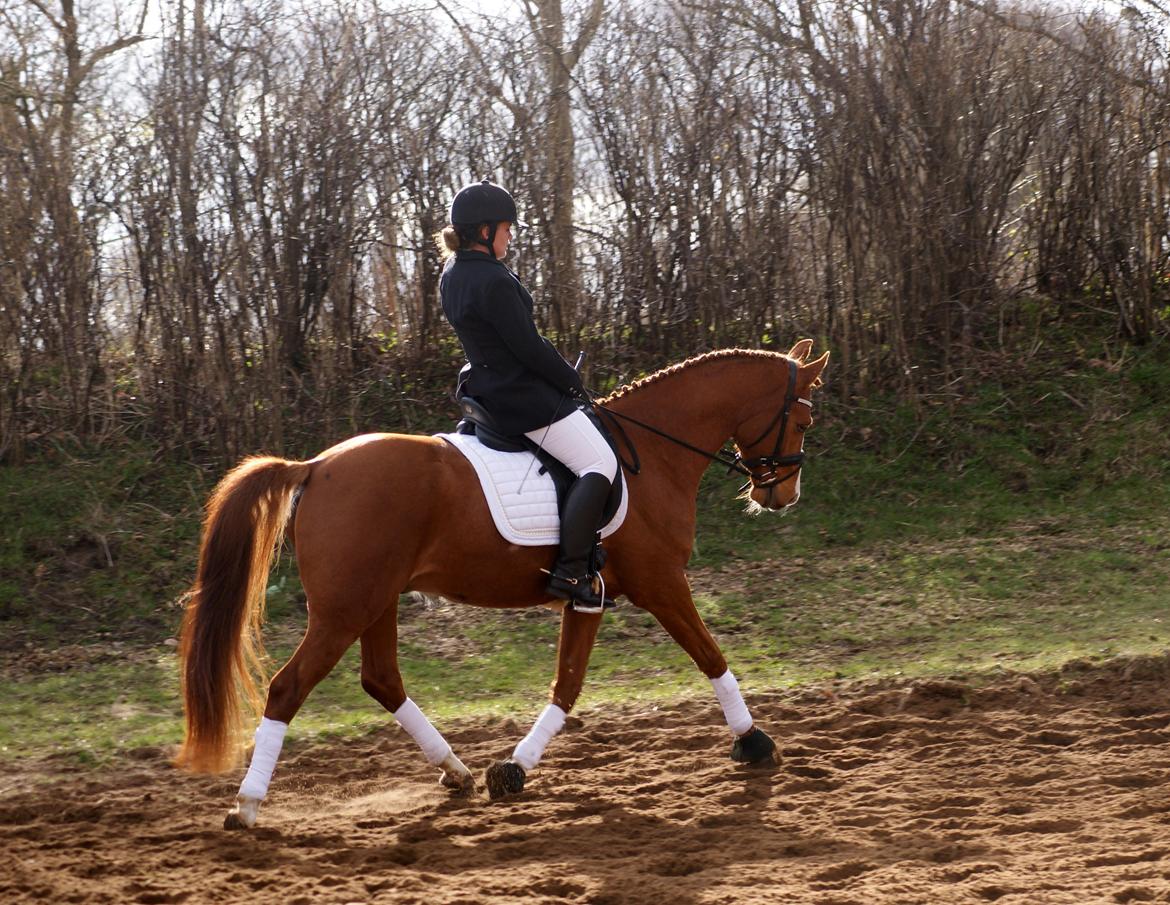 DSP Palle Prut billede 3