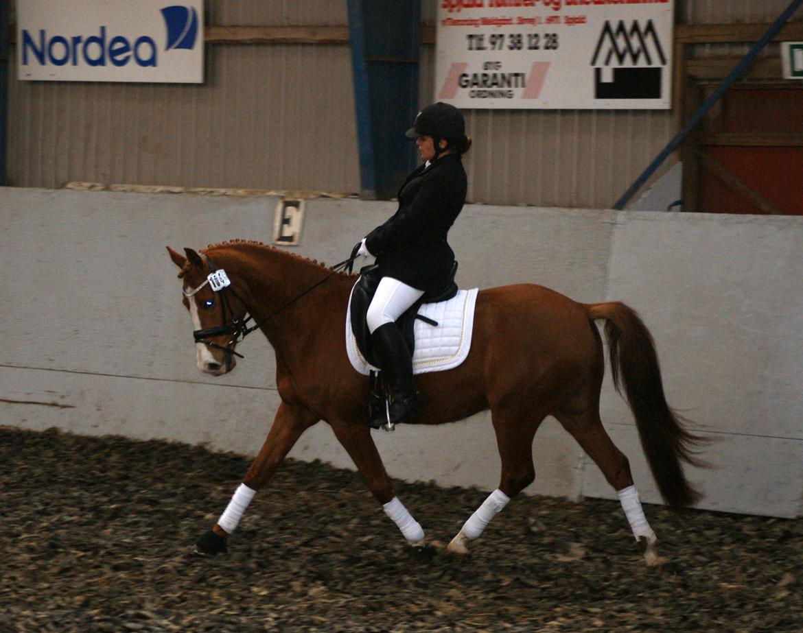 DSP Palle Prut billede 4