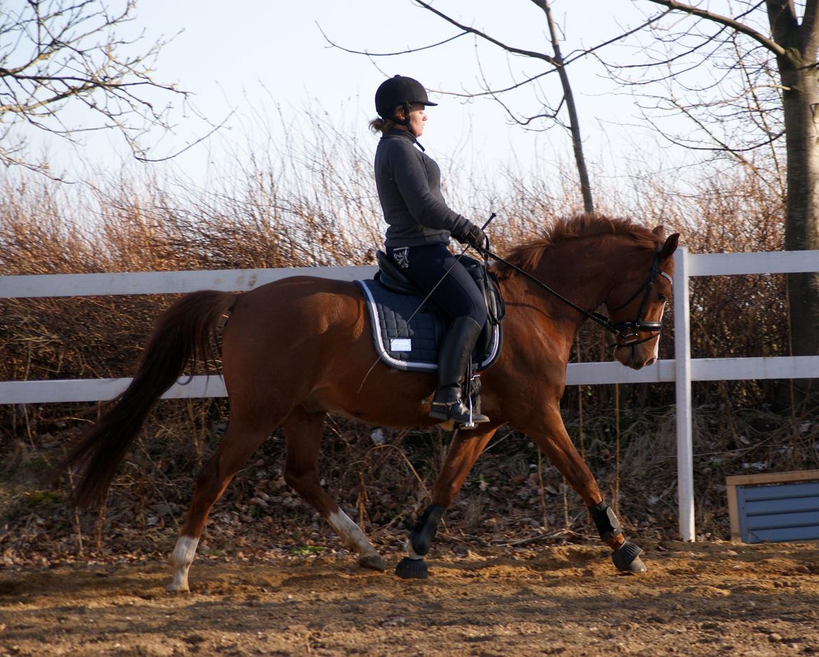 DSP Palle Prut billede 6