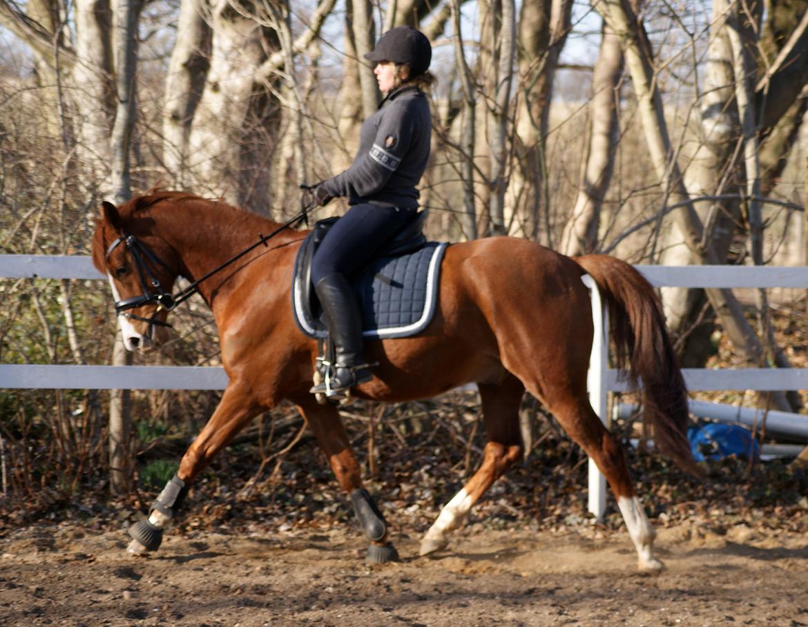 DSP Palle Prut billede 7