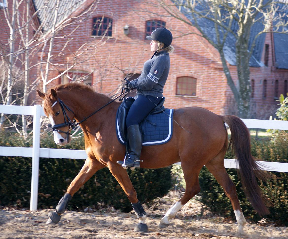 DSP Palle Prut billede 8