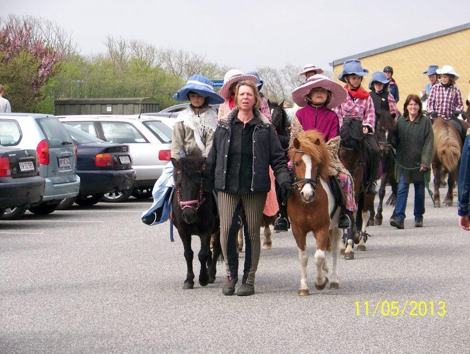 Shetlænder Bastian (Bisse) Låne pony - Linedance optog billede 13