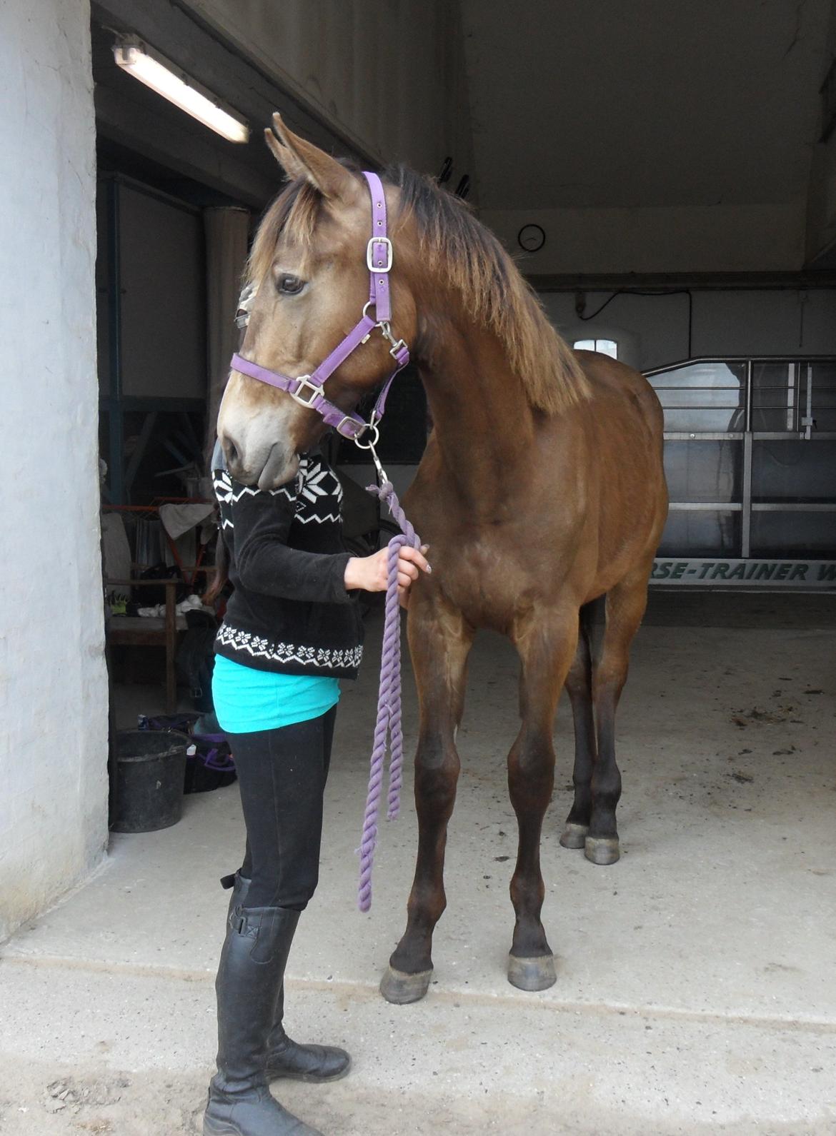 Anden særlig race Klitgaards Maximilian*R.I.P* - Bobber den 11 maj 2013, så smuk efterhånden =) billede 29