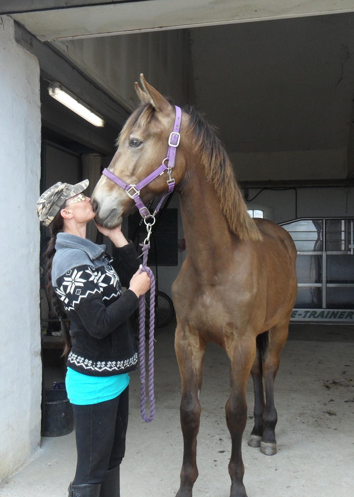 Anden særlig race Klitgaards Maximilian*R.I.P* - Smukke Bobs.. Vores første forår sammen <3 billede 42