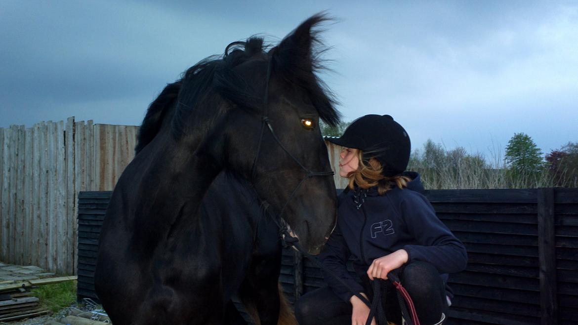 Shire Bjerggårdens Fifi Olsen billede 16