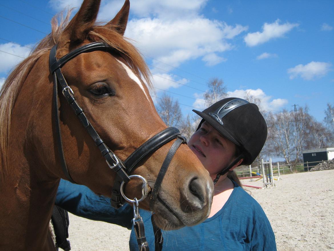 Arabisk fuldblod (OX) Mirah - Min prinsesse og jeg på en helt speciel dag <3 billede 1