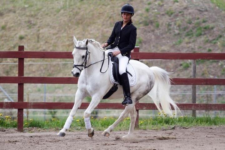 Anden særlig race Pepito my only one! <3 billede 12