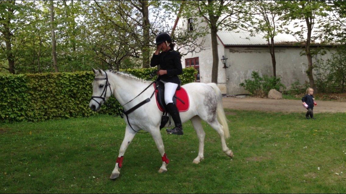 Anden særlig race Pepito my only one! <3 billede 13