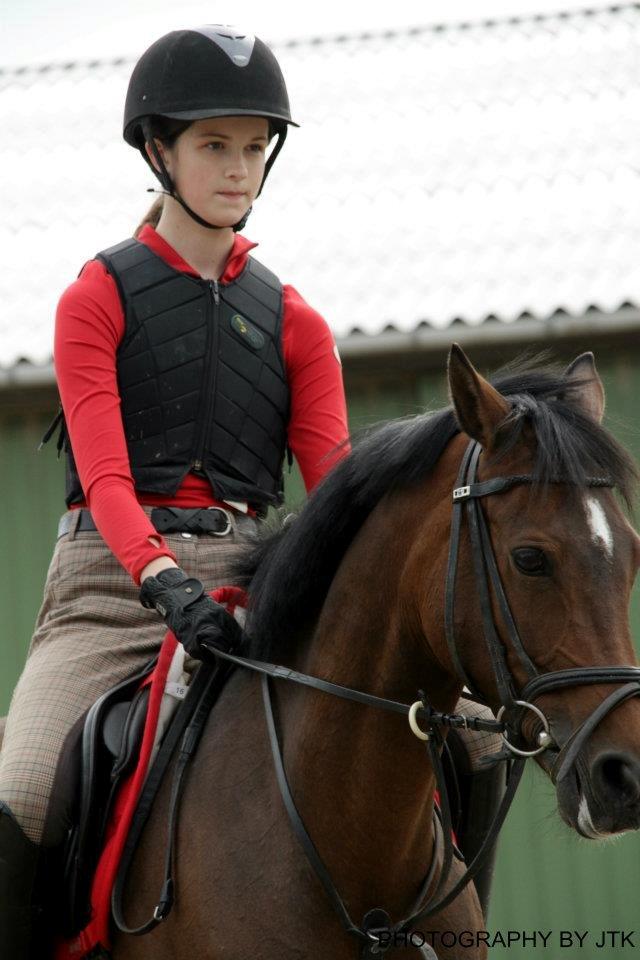 Welsh Partbred (Sec F) GROEZE'S JOSINA billede 6