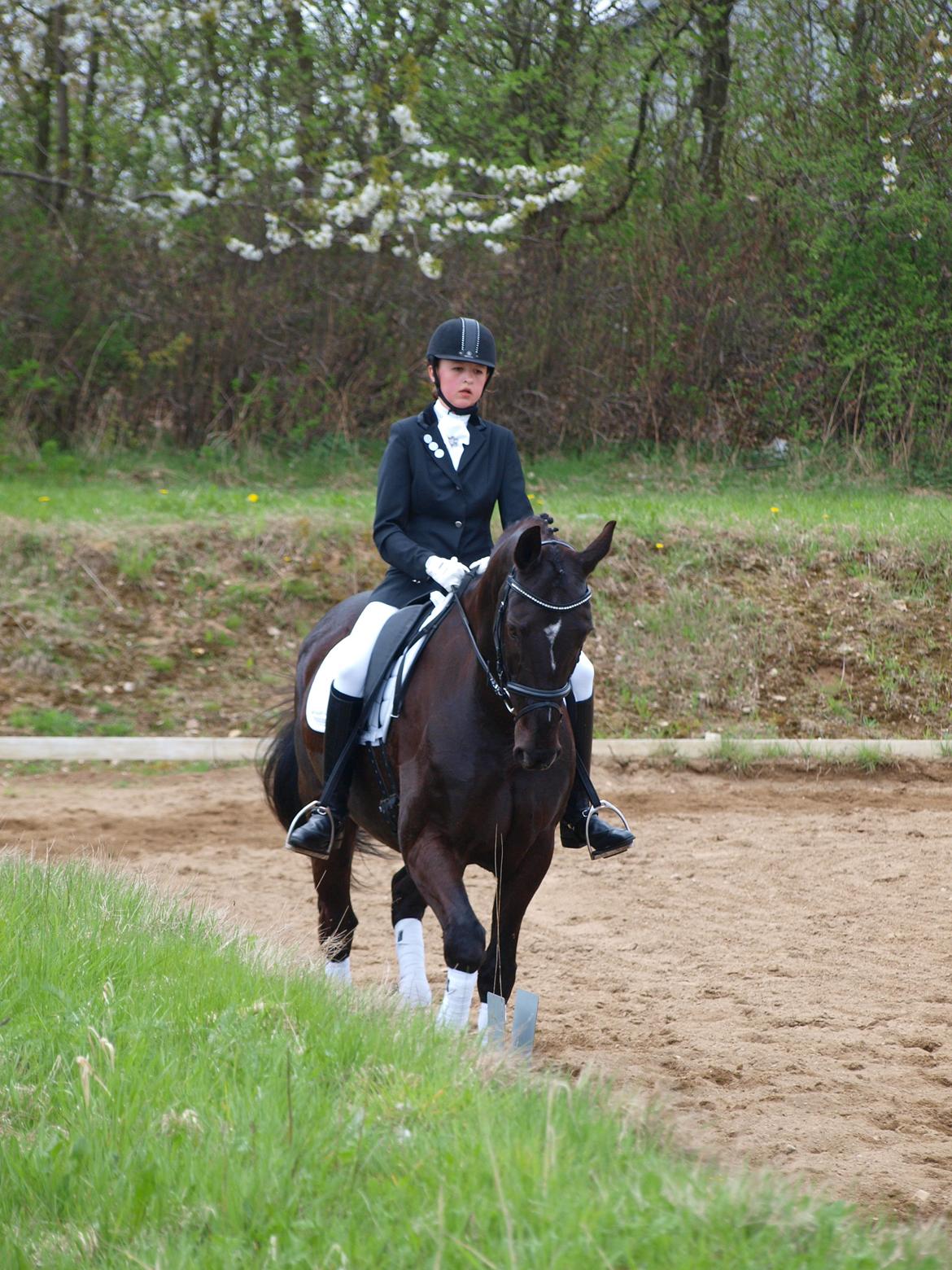 Anden særlig race †Charlie Brown R.I.P† - Mit første stævne på ham LB1 1. Plads billede 4