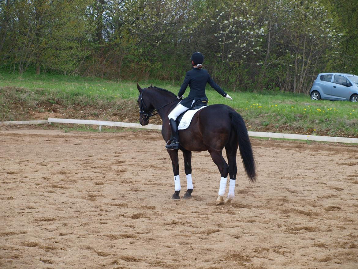 Anden særlig race †Charlie Brown R.I.P† - Mit første stævne på ham LB1 1. plads billede 6