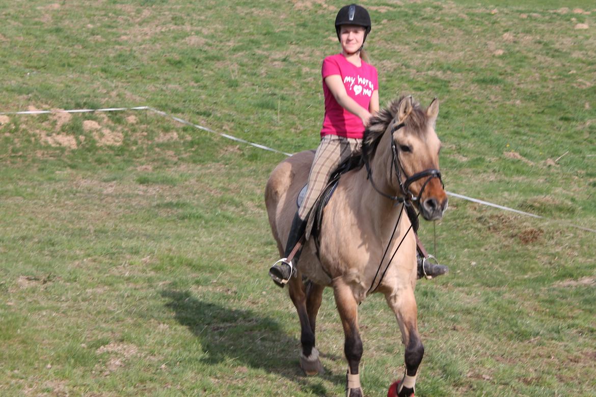 Anden særlig race Tikka - hygge ridning ved min mor billede 16
