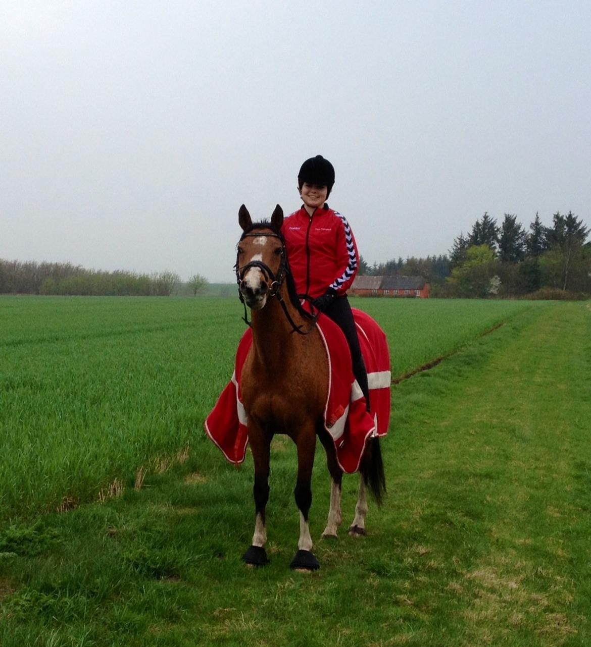 Anden særlig race Sussie *My one and only* - Vores sidste dag sammen - på vores sidste skridttur <3  billede 1