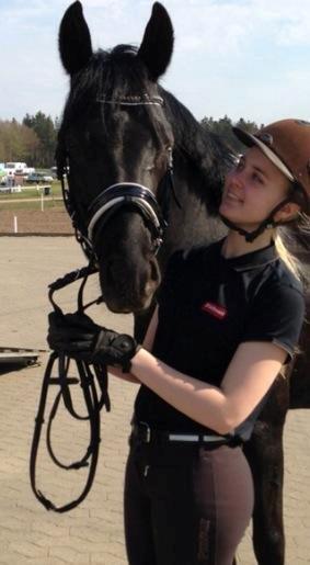 Tysk Sportspony Gematus B billede 4