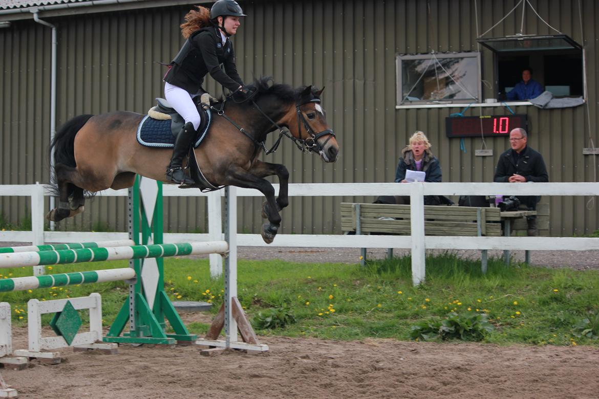 Hollandsk Sportspony July - Når afstanden faktisk er for stor, og Julle hopper alligevel bliver selv folkene i baggrunden overraskede! Foto: Sofie Pedersen. billede 9