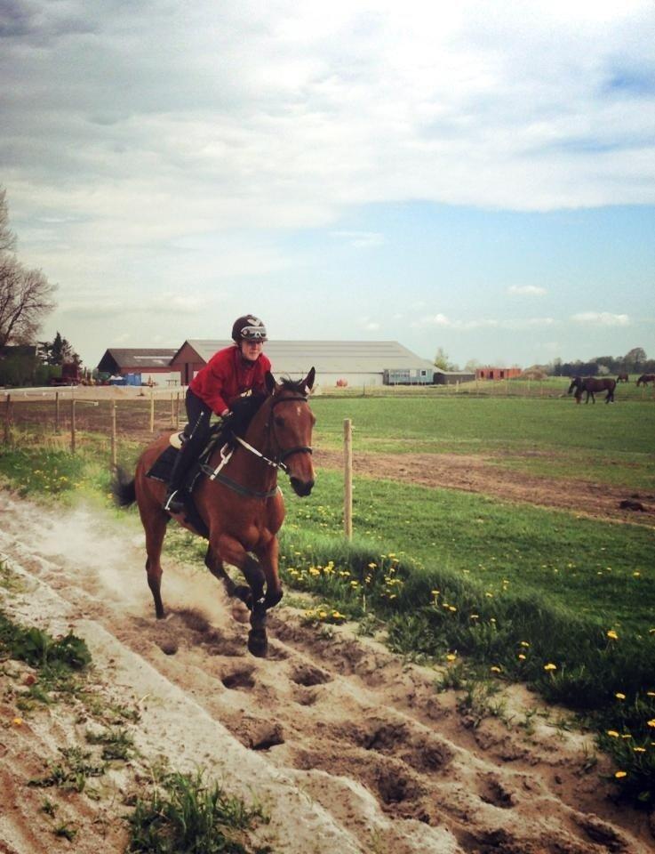 Traver C My Surprise billede 9