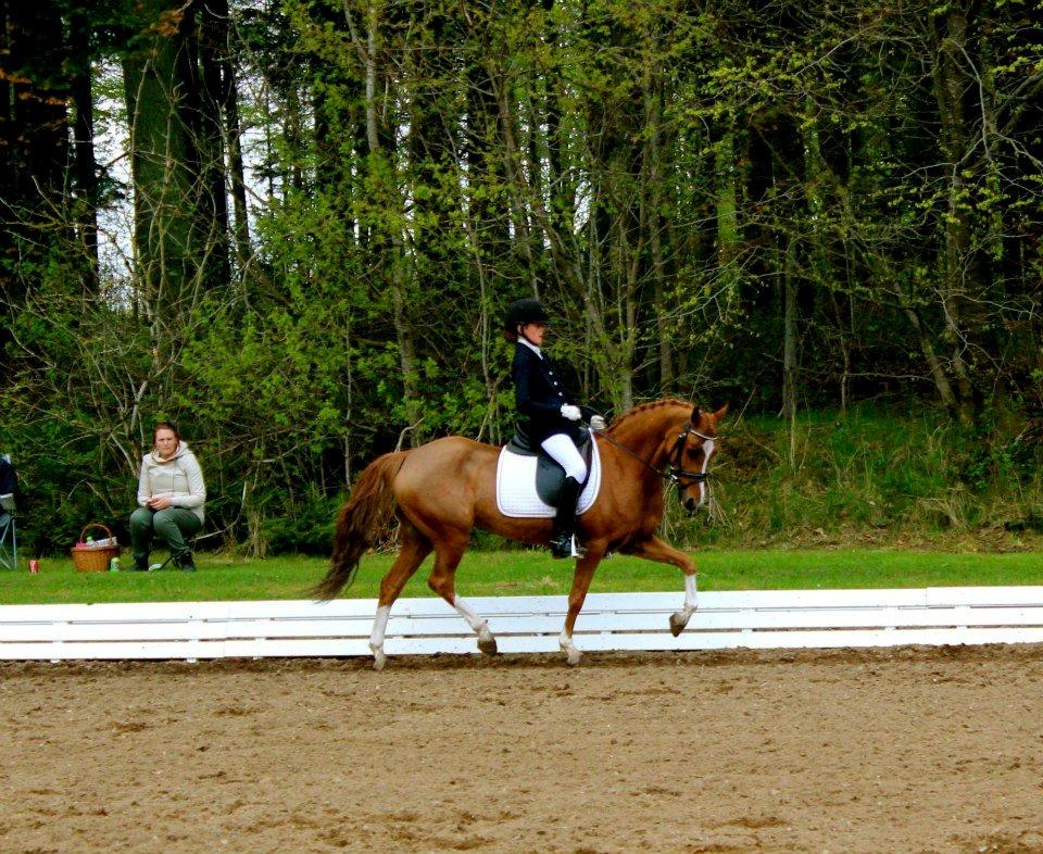 Welsh Pony (sec B) *Saffira Stal Bruggeweerd* A-Pony* Solgt :-'( - Min skat :-) billede 9