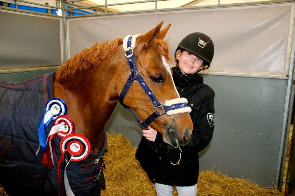 Welsh Pony (sec B) *Saffira Stal Bruggeweerd* A-Pony* Solgt :-'( - <3 billede 11