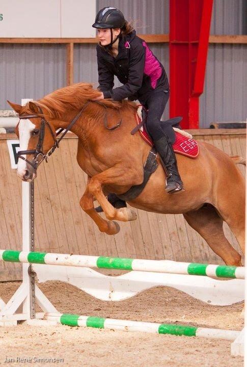 Anden særlig race Capella - Spring billede 2