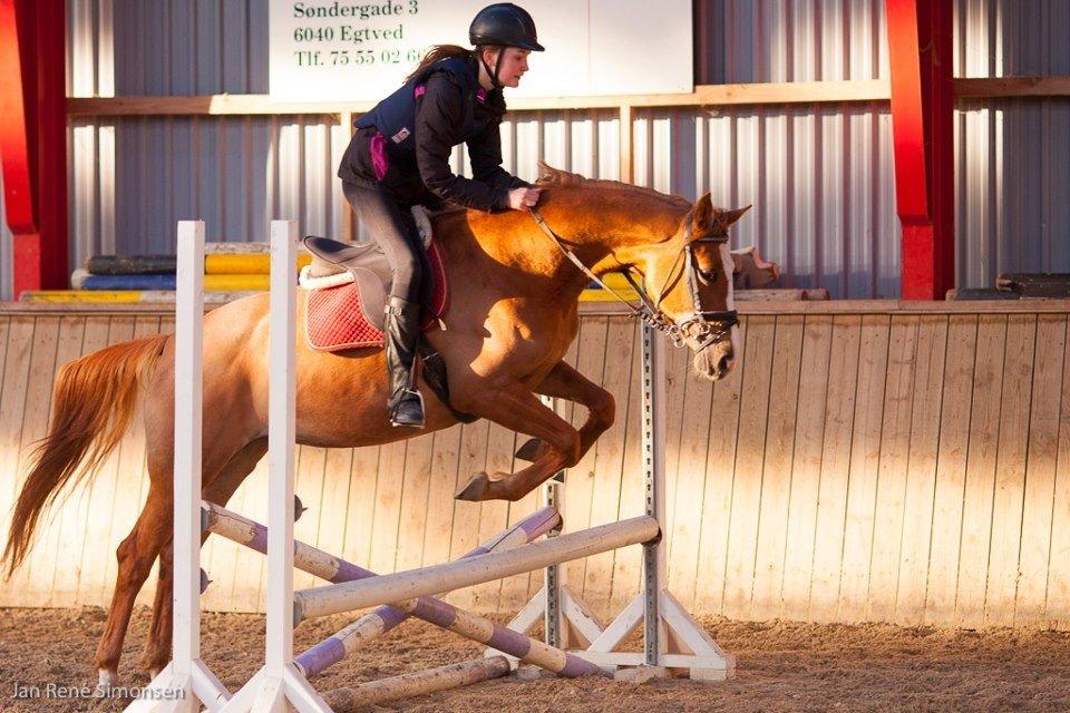 Anden særlig race Capella - Første spring på min dejlige Pella! <3 billede 6