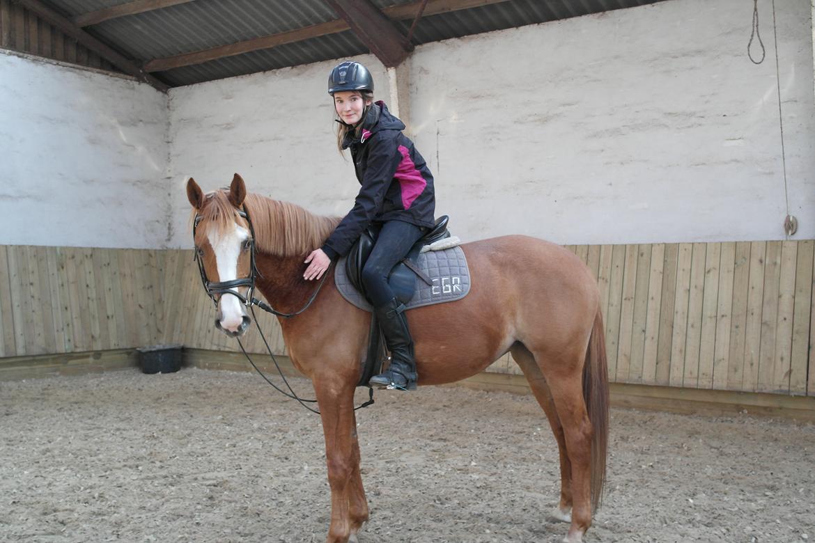 Anden særlig race Capella - Baby!! :* <3 <3
 billede 7