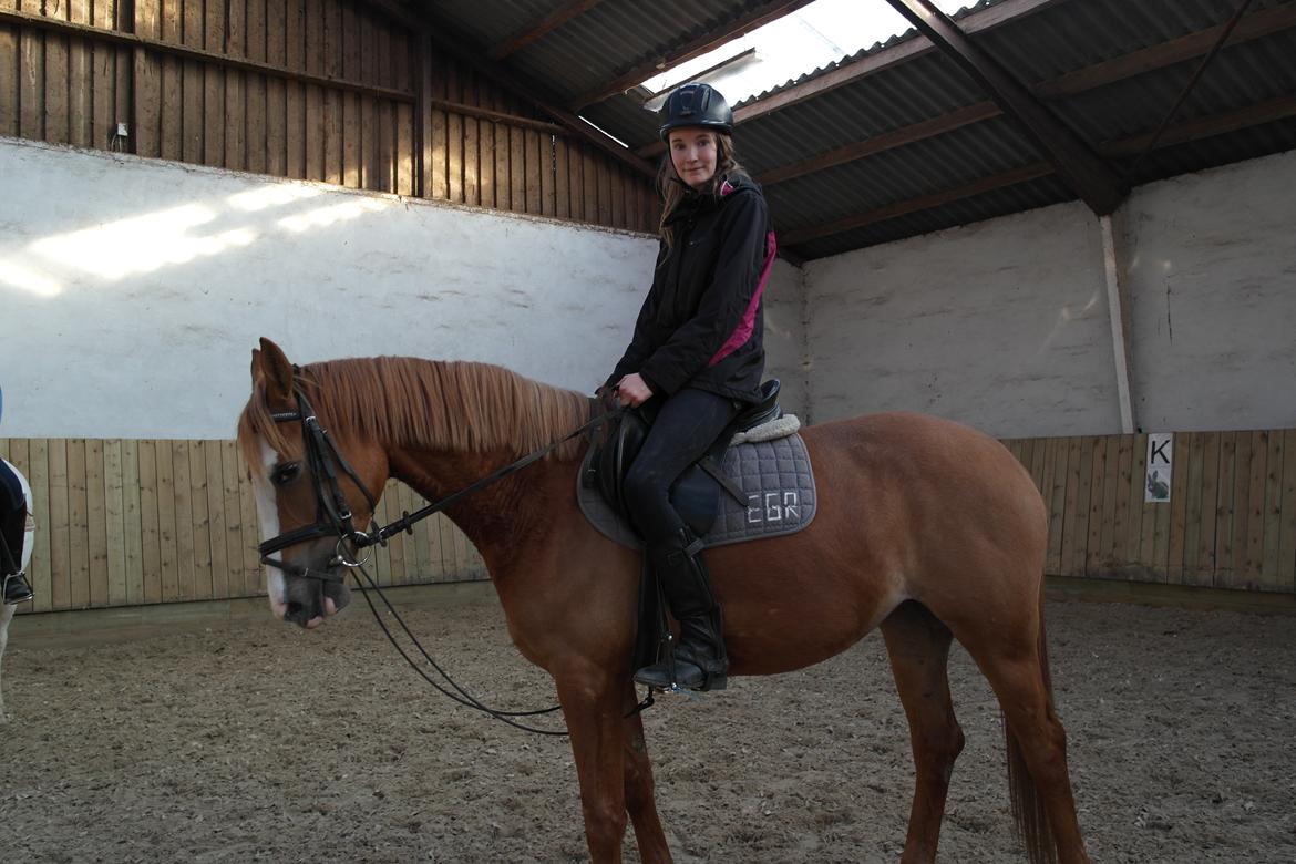 Anden særlig race Capella - Min dejlige smuksak!! :* <3 billede 8