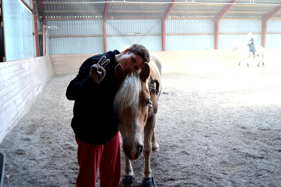 Haflinger Rico mit problembarn! R.I.I :,( !!!! - 10. 
My best friend! billede 10