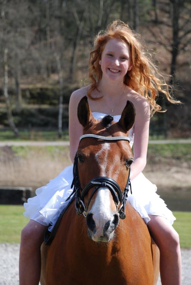 DSP Lundgårds Adonis halv A-pony SOLGT - Konfirmation 2013!<3  billede 16