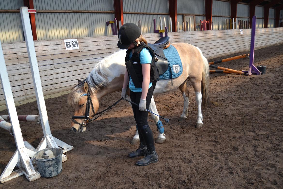 Anden særlig race Dundee*Beautiful*<3 - Velkommen til Dundee´s Profil<3 billede 1