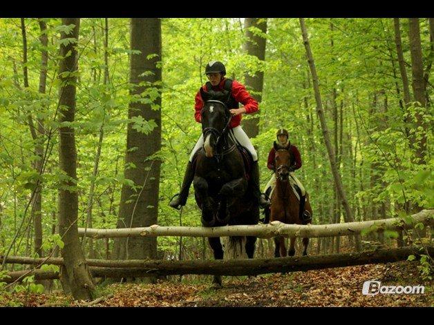 Oldenborg Petrea - Petrea og jeg på jagt :-) billede 2