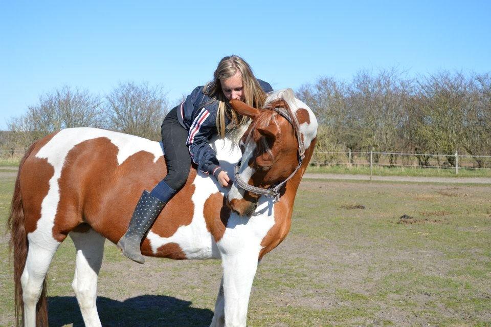 Pinto Dominique - Ingen som dig<3 billede 13