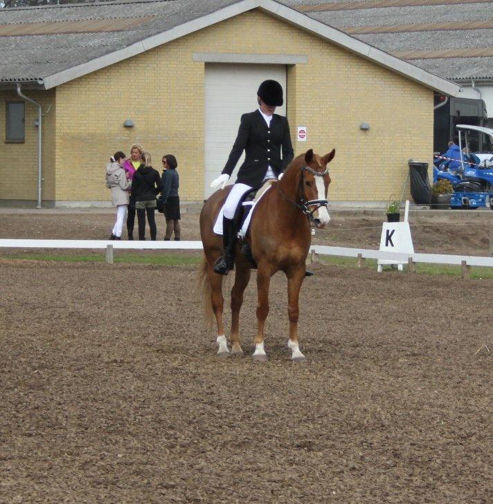 DSP Foxtrot billede 11