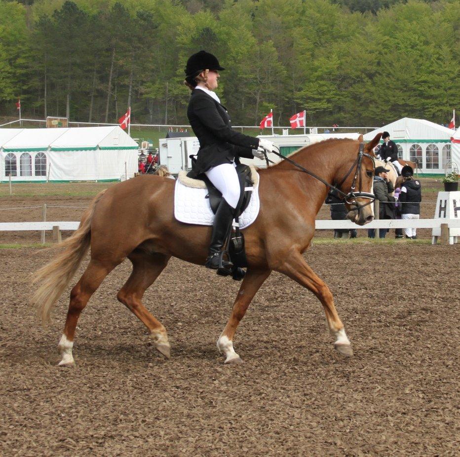 DSP Foxtrot billede 19