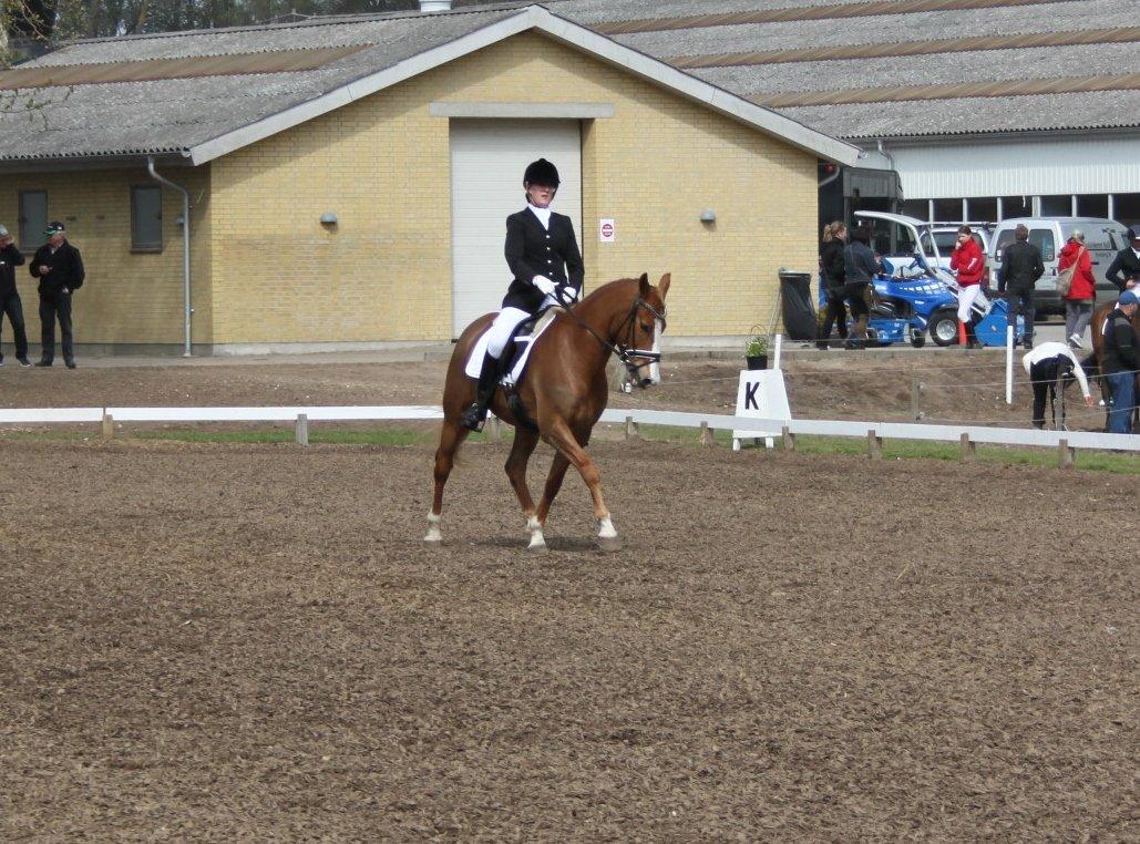 DSP Foxtrot billede 15