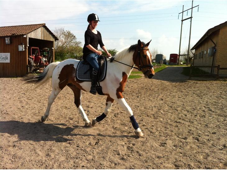 {{currentPhoto.altText}} billede {{currentPhoto.number}}