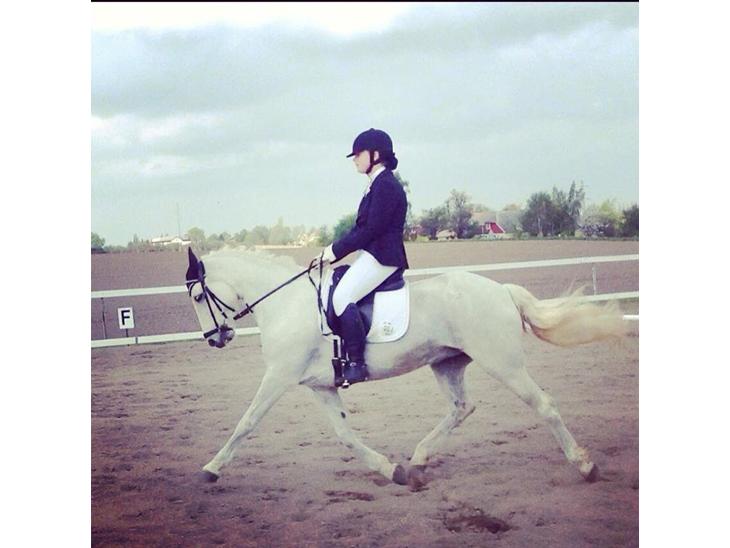 {{currentPhoto.altText}} billede {{currentPhoto.number}}