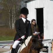 Anden særlig race Valde af ebbedal m