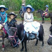 Shetlænder Sorte - I Love You