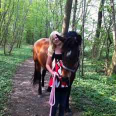 Anden særlig race Flicka 