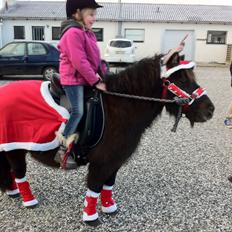 Shetlænder Mille