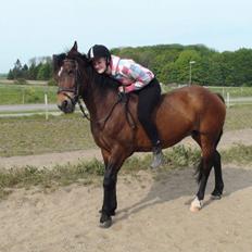 Anden særlig race Flicka 