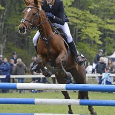 Anden særlig race Clements Penelope