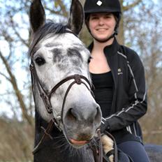 Dansk Varmblod Calikka Sortebjerg